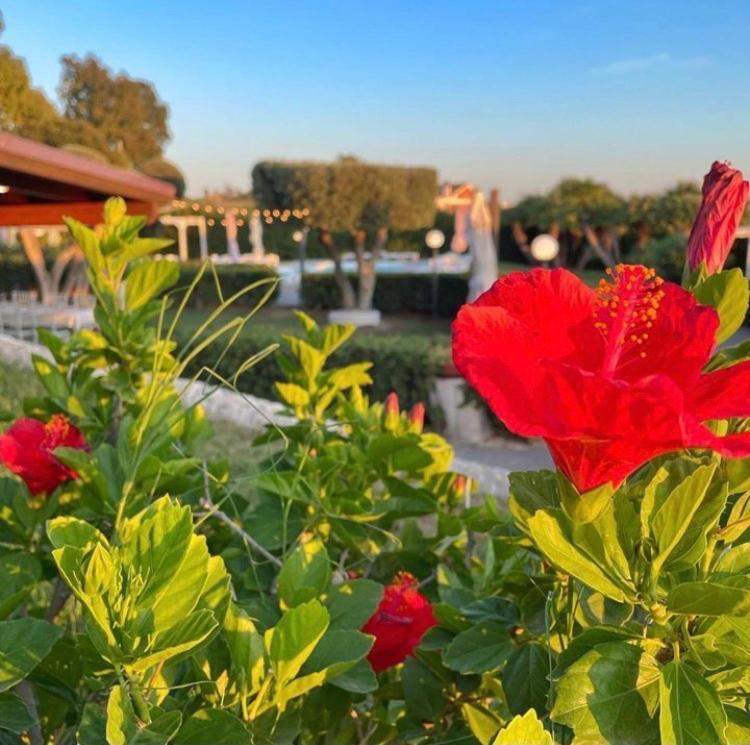 Villalessandra Civitavecchia Esterno foto